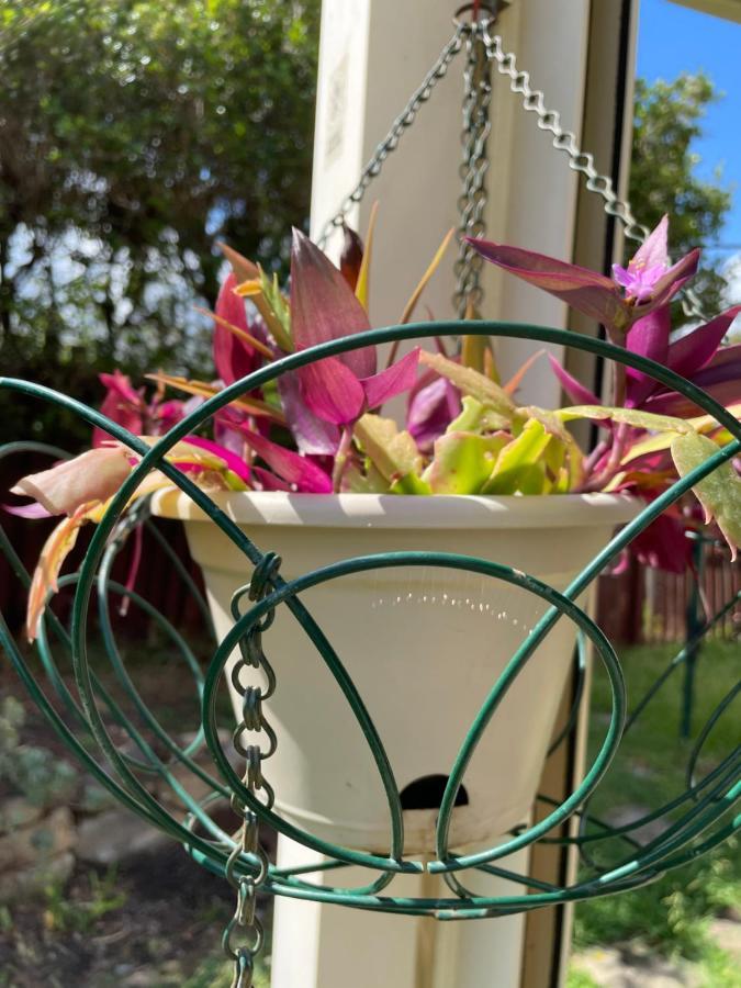 Theme Parks Amituofo Homestay Gold Coast Exterior foto